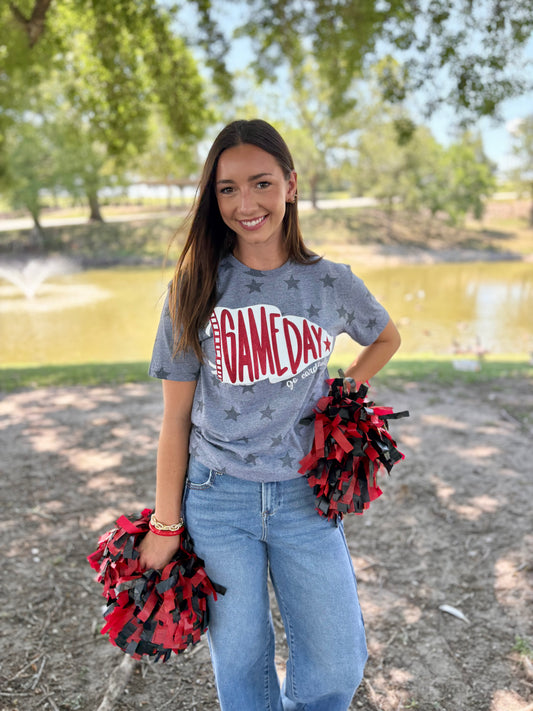 Cardinals Pennant Tee
