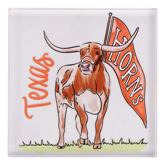 Texas Pride Decor