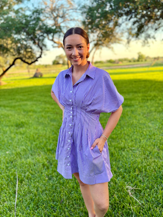 Purple Perfection Dress