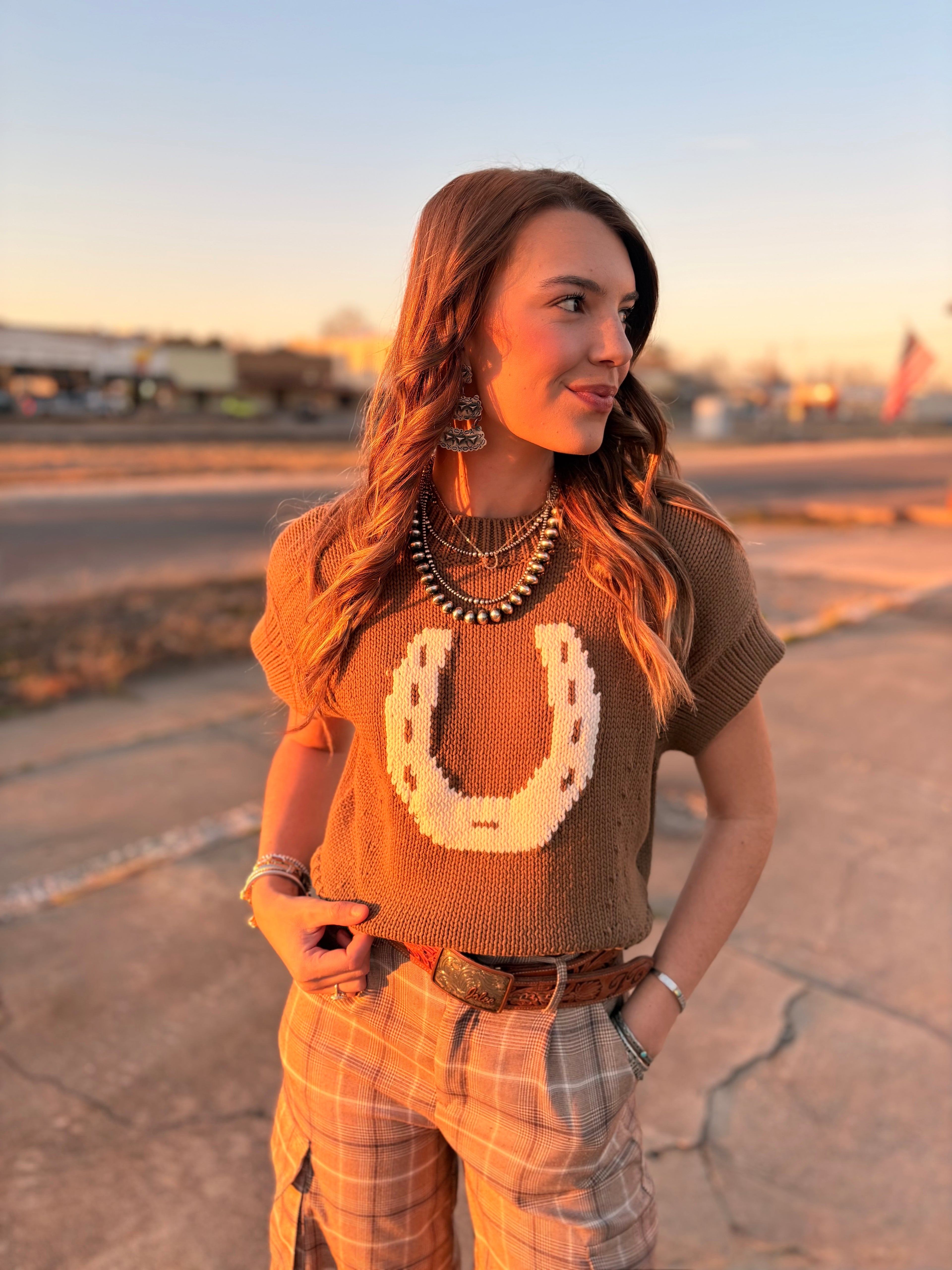 Mocha Horseshoe Sweater Vest