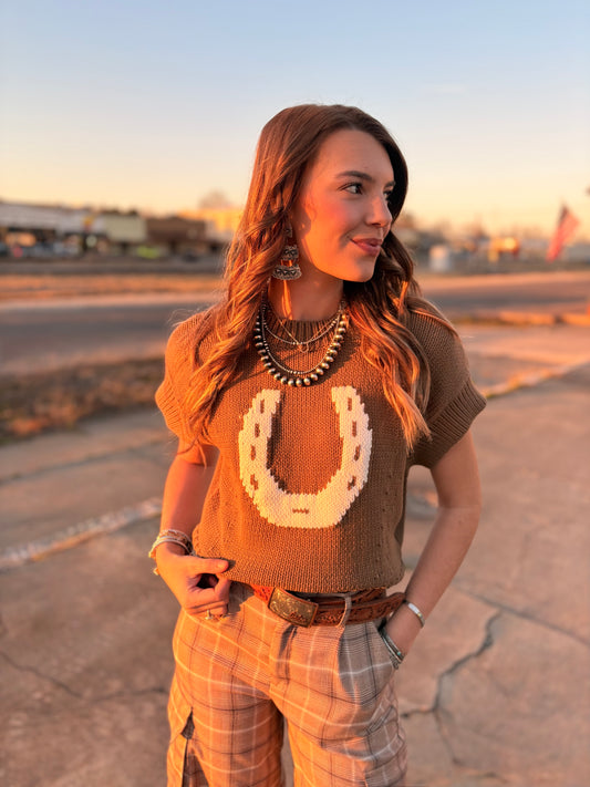 Mocha Horseshoe Sweater Vest