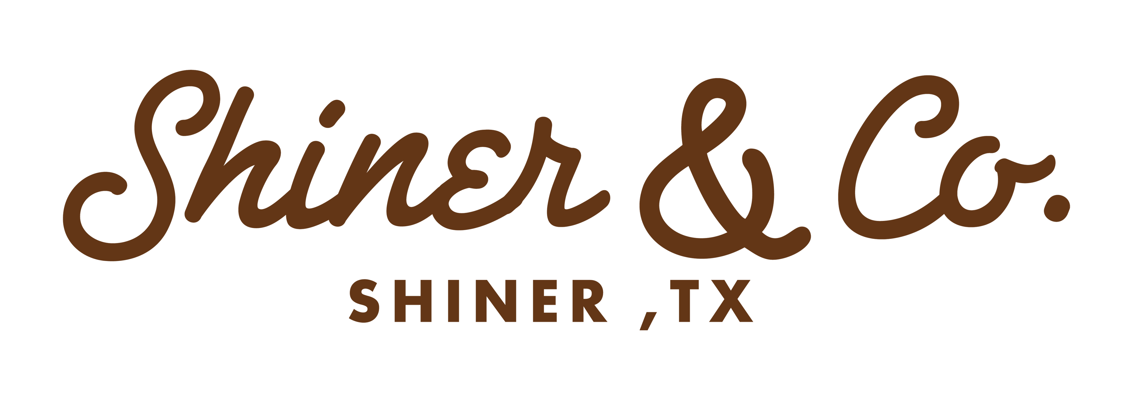 Shiner & Co.